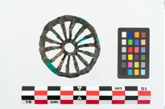 Foto von Bronzerad (NHMW-PRAE-026153)